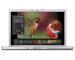 Ноутбук Apple MacBook Pro 15 Early 2008 MB513