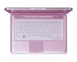 Ноутбук Sony VAIO VGN-CS190JTP
