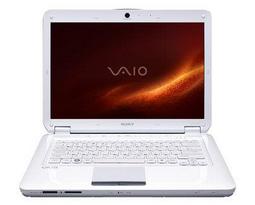 Ноутбук Sony VAIO VGN-CS190JTW